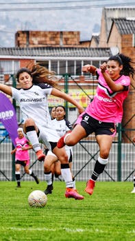 pexels photo 14171773 1.jpeg